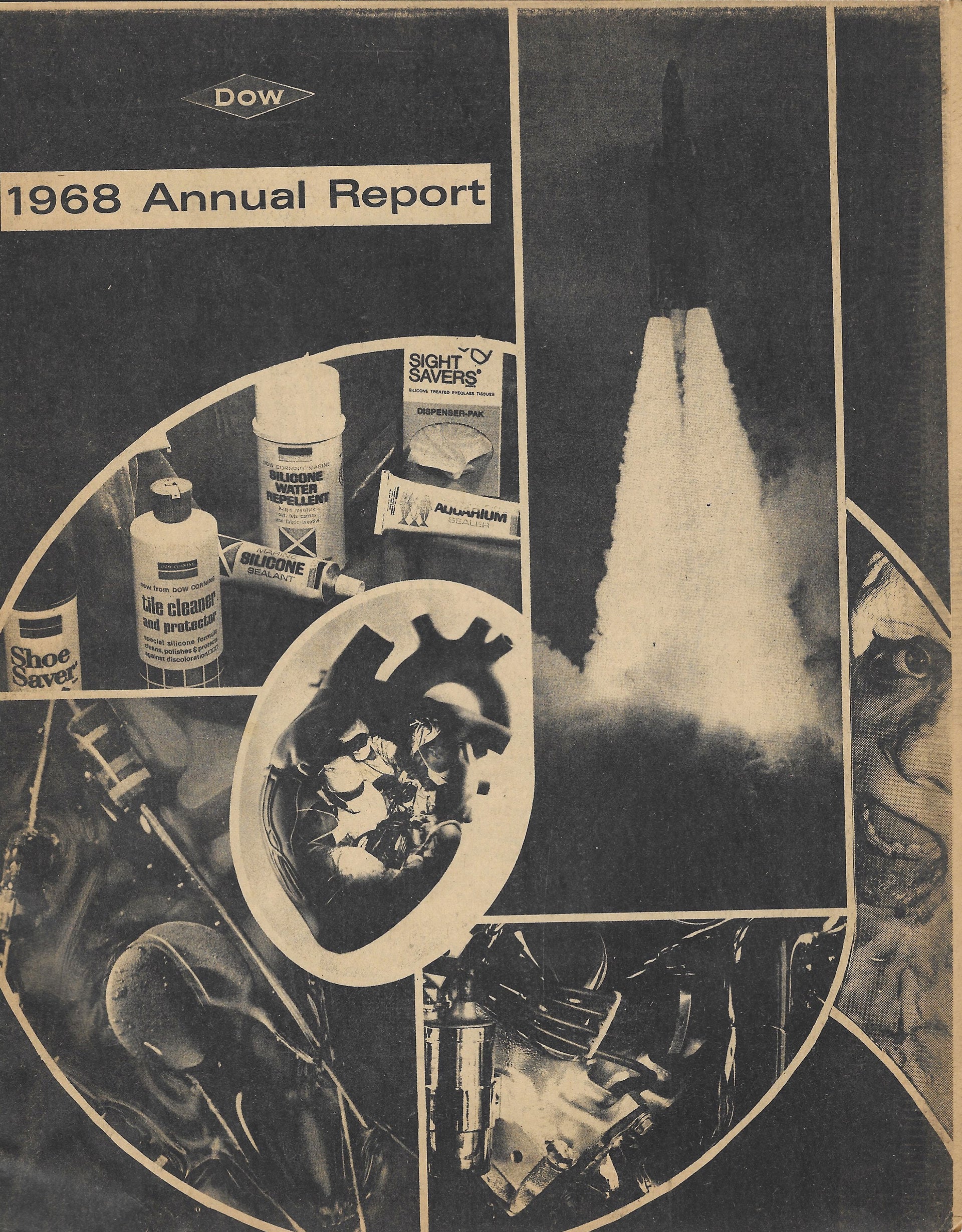 D.C. 9 Annual Report Photo collage made from the Dow Chemical yearly report and pictures depicting the effects of napalm (photo courtesy of Joann Malone)