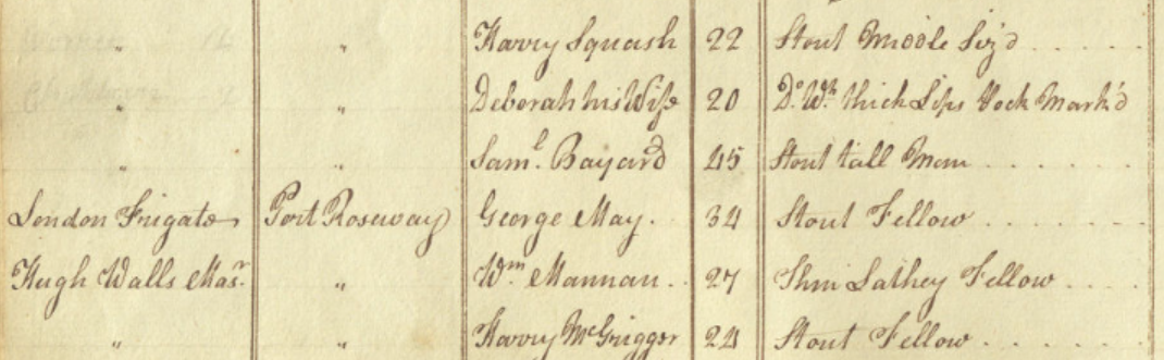 The image is a high-resolution scan of an old, handwritten document in landscape orientation with two pages open. The pages are a faded beige color, featuring evenly spaced lines and a vertical fold in the middle. The left page includes several columns with headings: "Proper Name," "Other Names," "Negro's Number," "Description," "Elements," "Names of Proprietors of Negroes," and "Remarks."