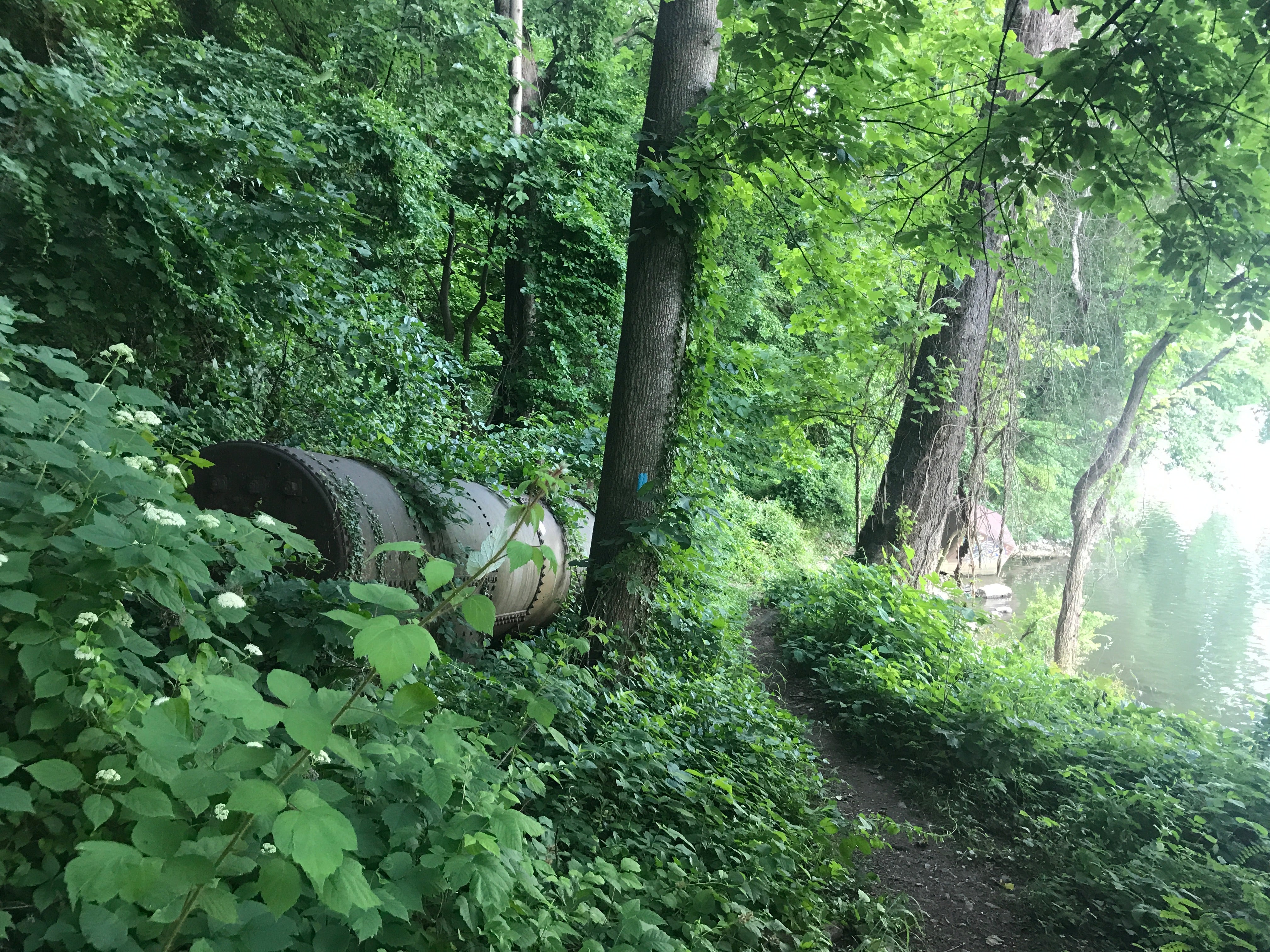 On the Potomac Heritage Trail just south of Potomac Overlook Regional Park, abandoned quarry equipment still sits.