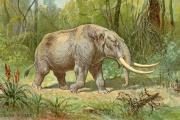 Paleontologist in Chief: Thomas Jefferson’s Quest for the Mastodon