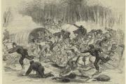 The First Battle of Bull Run and Its Foolhardy Picnickers
