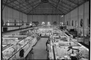Eastern Market interior looking south (Source: Library of Congress)