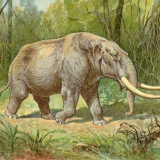 An artistic representation of a mastodon