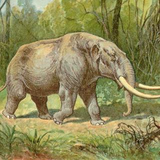 An artistic representation of a mastodon