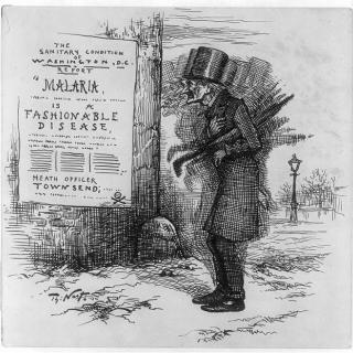 Cartoon of man with sign saying "Malaria is a Fashionable Disease"