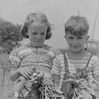A young boy and girl stand side-by-side holding a bundle of radishes with their roots and  leaves still on. In the background, you can see the greenery if a garden. The boy appears to be happy with a smile on his face, but the little girl seems to be upset. 