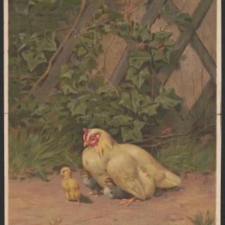 Print shows a hen with three chicks in a farmyard.