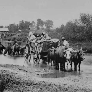 Fugitive African Americans fording the Rappahannock River, July-August 1862