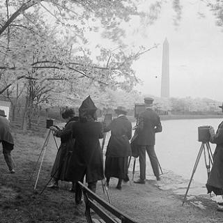 Photographers shooting cherry blossoms, Washington, D.C., April 7, 1922 (Library of Congress)