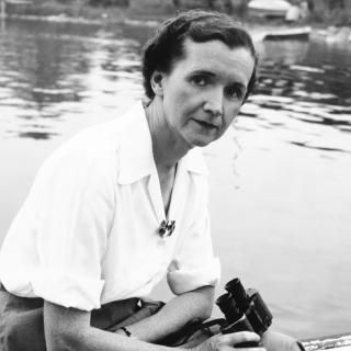 Rachel Carson at Woods Hole, MA, 1950. (Courtesy of the Linda Lear Center for Special Collections & Archives, Connecticut College) 