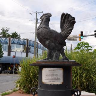 Roscoe the Rooster in Takoma Park. (Credit: Flickr user BeyondDC. Used via Creative Commons Attribution 2.0 Generic license.)