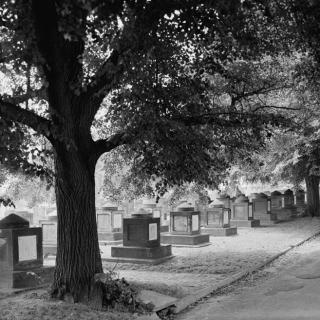 View of the Congressional Cemetery in the 1930s
