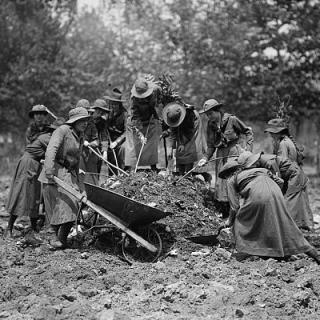 Girl Scouts gardening