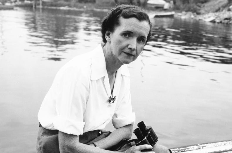 Rachel Carson at Woods Hole, MA, 1950. (Courtesy of the Linda Lear Center for Special Collections & Archives, Connecticut College) 