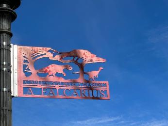 A street sign depicting the carnivorous "Capitalsaurus" chasing the small, bird-like Falcarius through a savannah.