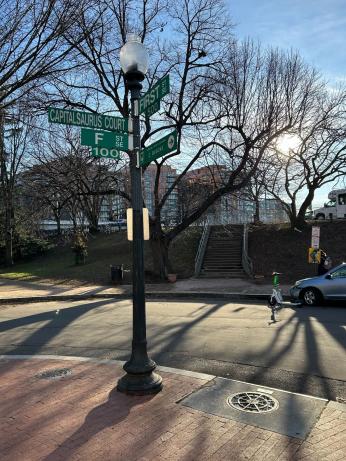 A street sign marking the crossroads of First Street and Capitalsaurus Court.