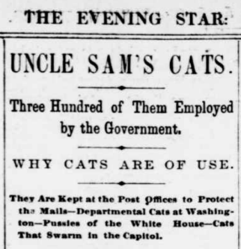 A newspaper clipping reading; "Uncle' Sam's Cats, three hundred of them employed by the government."
