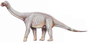 Drawing of four-legged long-necked dinosaur.