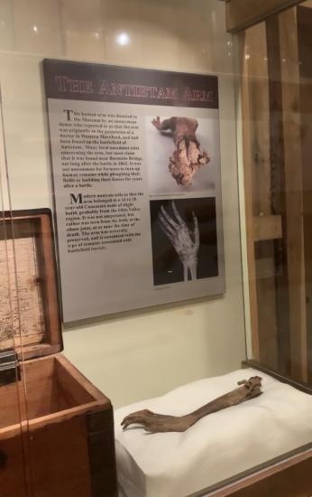 An informational sign with the caption "the Antietam Arm" in a museum display case, hung above a mummified arm on a white pillow. (Credit: Mary-Kate Wilson)