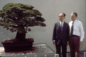 Photo of elderly Japanese man standing next to American man in suits as both men admire a two-foot-tall bonsai pine tree next to them.