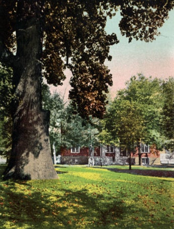 Postcard showing tree with red brick building behind it. Caption reads "Woodward Hall and Liberty Tree, St. John's College, Annapolis, MD."