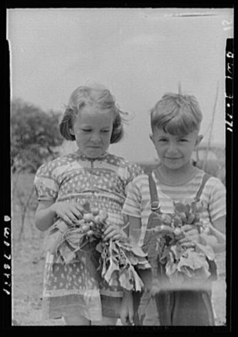A young boy and girl stand side-by-side holding a bundle of radishes with their roots and  leaves still on. In the background, you can see the greenery if a garden. The boy appears to be happy with a smile on his face, but the little girl seems to be upset. 