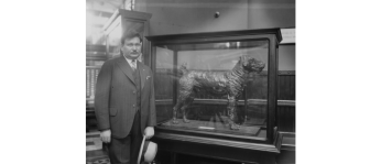 Newsboys donated pennies to make a bronze statue of "Laddie Boy," which stood on display at the Smithsonian for many years. According to the Smithsonian's archives, the inscription reads "Laddie Boy, cast from the pennies of newsboys throughout the nation in memory of Warren Gamaliel Harding, their friend". (Photo credit: Smithsonian Institution Archives, SIA2009-0445 and 811)