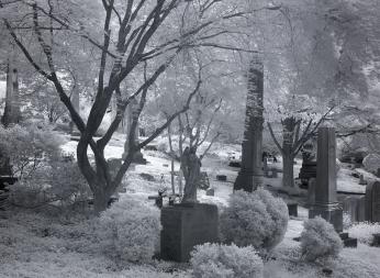 Oak Hill Cemetery