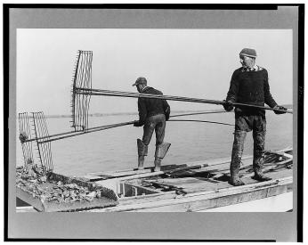 Two men tonging for oysters