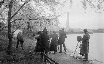 Photographers shooting cherry blossoms, Washington, D.C., April 7, 1922 (Library of Congress)
