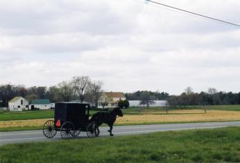 Amish horse and buggy on the road in Southern Maryland. (Courtesy of St. Mary's College of Southern Maryland Archives.)