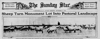 The Sunday Star headline about sheep grazing in West Potomac Park. (Source: Evening Star newspaper, December 6, 1914) The Sunday Star headline about sheep grazing in West Potomac Park. (Source: Evening Star newspaper, December 6, 1914)