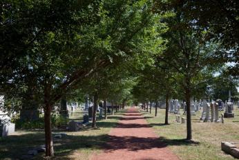 View of a path through the Congressional Cemetery