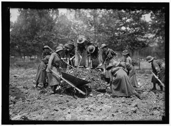 Girl Scouts gardening