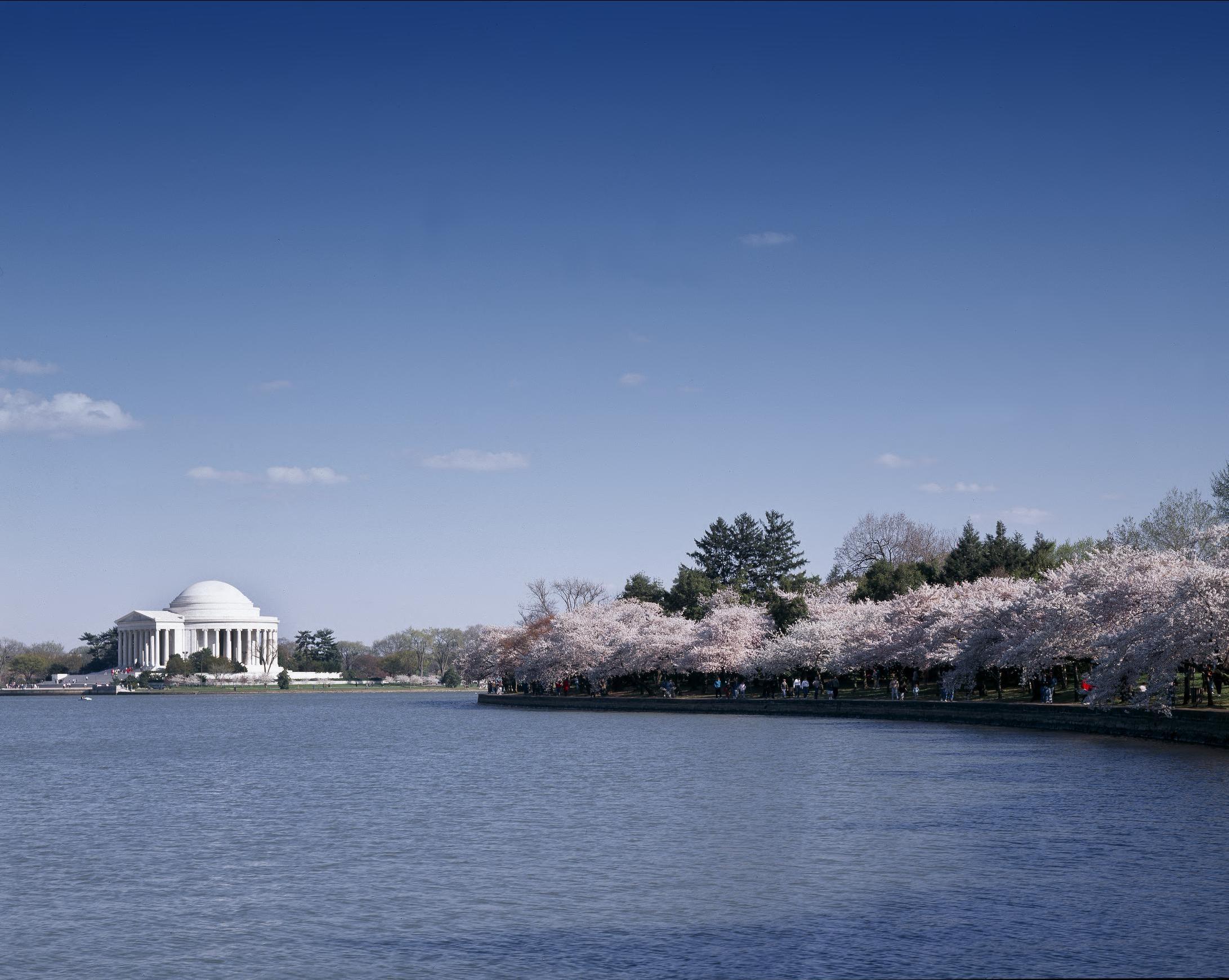 View of Tidal Basin with blooming cherry blossom trees in Washington, D.C. (Source: Library of Congress, Carol M. Highsmith Collection)