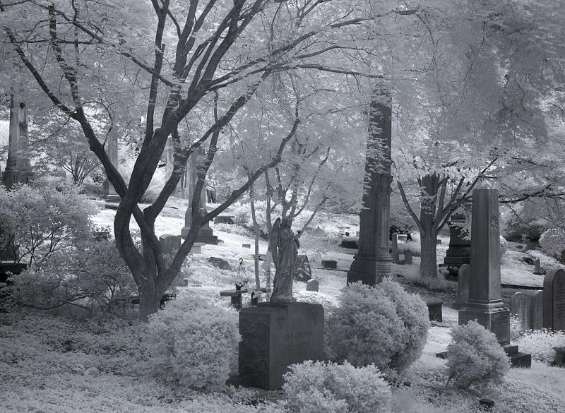 Oak Hill Cemetery in Washington, D.C. Oak Hill Cemetery