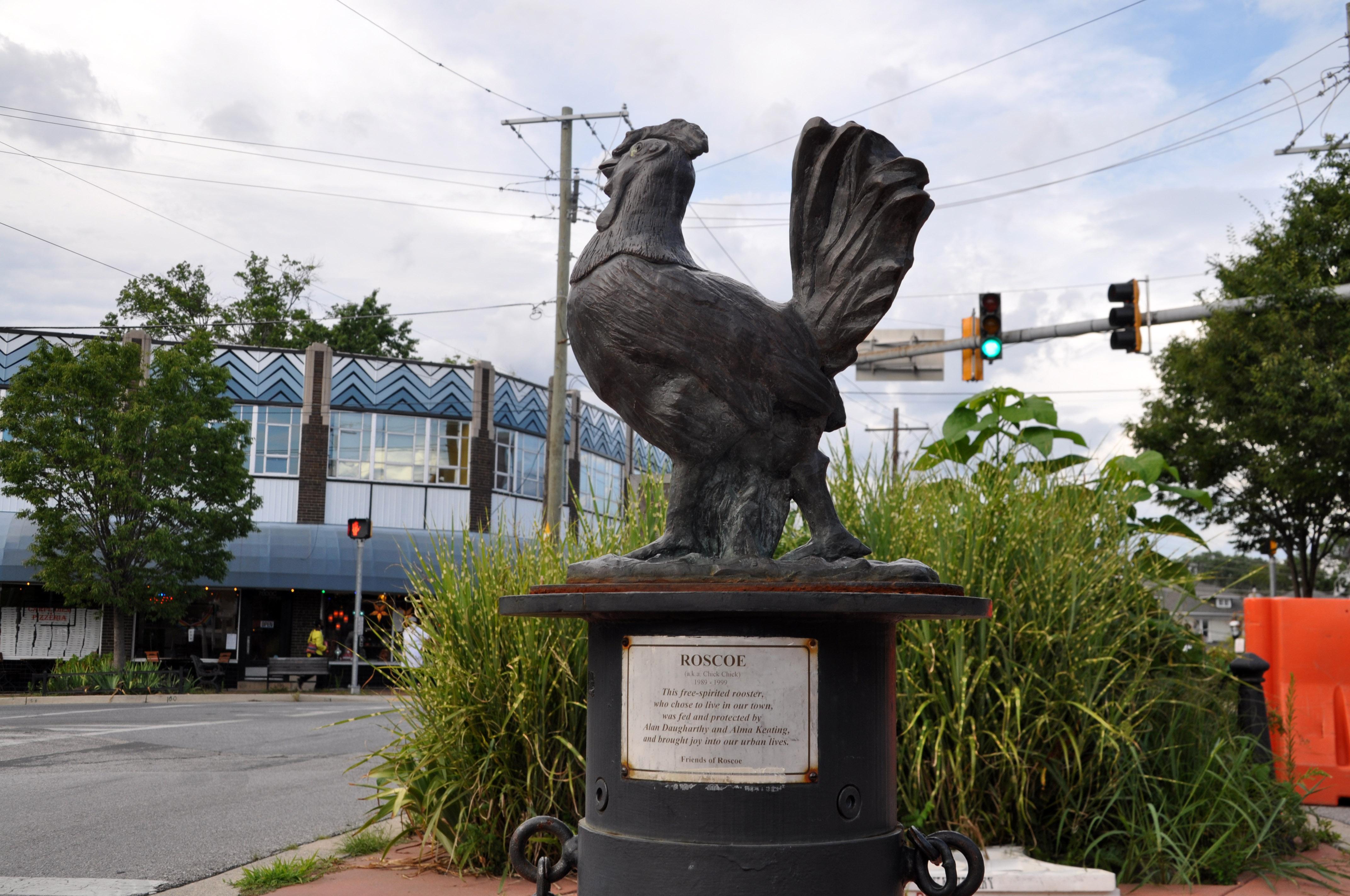 Roscoe the Rooster in Takoma Park. (Credit: Flickr user BeyondDC. Used via Creative Commons Attribution 2.0 Generic license.) Roscoe the Rooster in Takoma Park. (Credit: Flickr user BeyondDC. Used via Creative Commons Attribution 2.0 Generic license.)