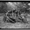 The First Black Girl Scout Troops of the Nation’s Capital